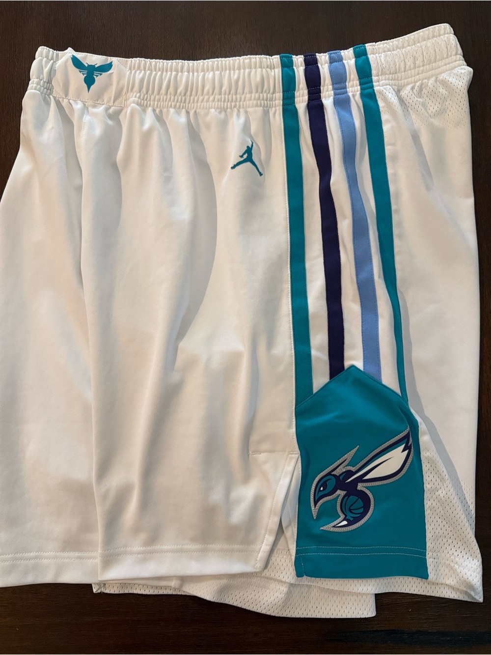 Jordan Charlotte Hornets On Court Player Shorts Nike 44 Pro Cut Game NBA Nike